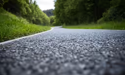 the asphalt road runs through trees, grass and tall grasses
