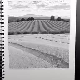 a open book with black and white image of field