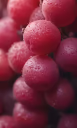 some berries are covered in water droplets