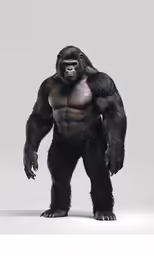 a gorilla standing next to a white wall