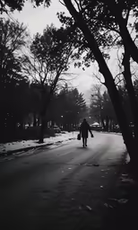 a person walks down a snowy street near trees