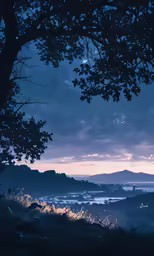 a beautiful view of the sky, tree, and ocean