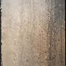 a picture of a tree outside of a window