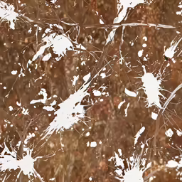 the background is brown and white with a bunch of little leaves