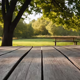 an old wooden picnic table with a large tree behind it