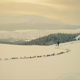 snow covered field with mountains in the background