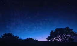 the night sky over some trees and grass