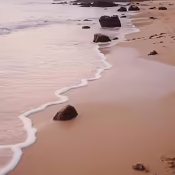 the water with rocks on the beach near it
