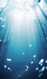 a very large area of water surrounded by trees