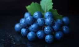 some blue grapes have green leaves on them