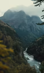 a valley with trees and a river in front
