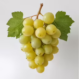 a bunch of green grapes hanging from a vine