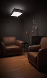 an empty dimly lit room with two brown leather couches