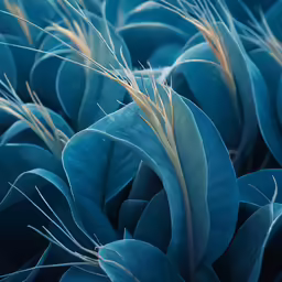 large blue plant that is next to another plant