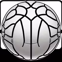 a round object with lots of intersecting lines,a black and white picture of a large ball,an animated ball with multiple lines drawn over it,a round object in black and white,an abstract image of a soccer ball