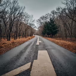 an empty country road with two yellow arrows painted on it