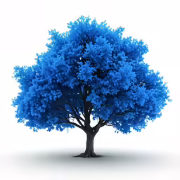 a very pretty blue tree with no leaves