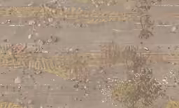a picture taken with a large camera over looking the ground
