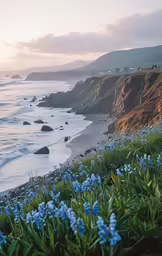 a bunch of blue flowers next to the water