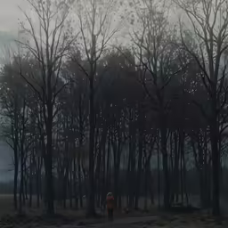 a lone person is walking in the woods with an umbrella