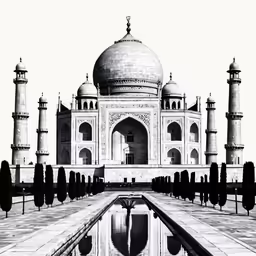 an artistic photo of the tajwa