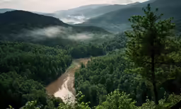 mountains covered in mist and trees near a river