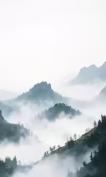 fog rolling in on the hills and trees below