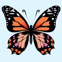 an orange and pink butterfly flying against a blue background,a butterfly is flying in the air on a white background