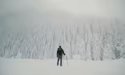 there is a man skiing on the mountain