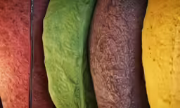 the leaves of different colors are very artistic