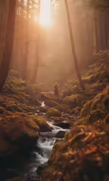a person standing in a forest on top of a small stream