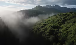 some very pretty mountains and trees in the mist