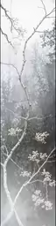 the branches and leaves of a tree with snow on them
