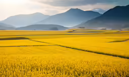 the countryside of the country with mountains in the background