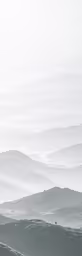 a distant hillside with trees covered in snow