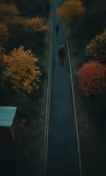 a couple walking down the train tracks in a wooded area