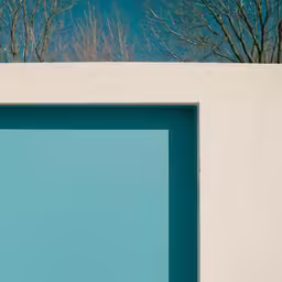 a blue door with trees in the background