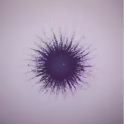 the black dots are flying up into the sky