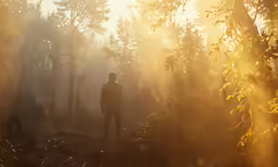 a man stands alone in the forest during a foggy day