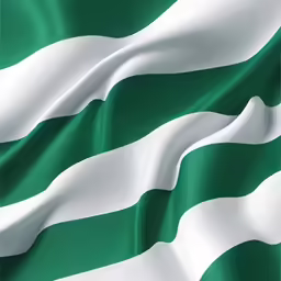 a large green and white flag on the floor
