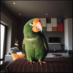 a parrot sitting on top of a bed next to a woman