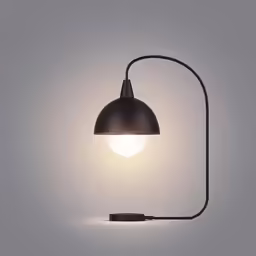 the light fixture in this lamp shines on the table