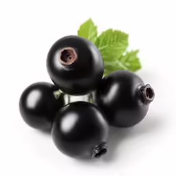 black berries with a leaf are on a white surface