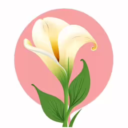 two flowers that are sitting in a vase