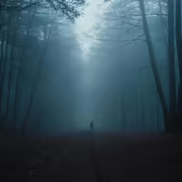 an image of a dark forest with trees and a person on the road