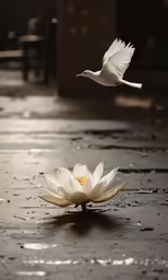 a bird is flying past a water lily
