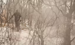 a person walking in the woods alone on a snowy path