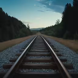train tracks stretching through a forest area at dusk