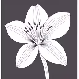 a flower is shown in the middle of a black and white background,a flower in white on a grey background