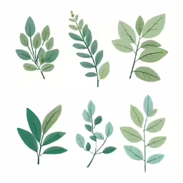a picture of various leaves from one tree to another